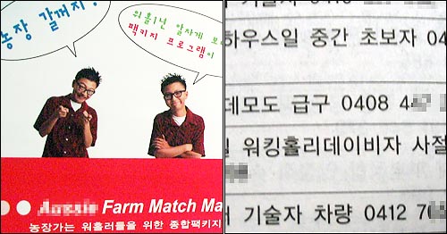 <font color=a77a2>왼쪽 워킹 홀리데이 비자 소지자들을 대상으로 한 농장 알선 광고. <font color=a77a2>오른쪽 교민잡지의 구인광고란. '워킹홀리데이비자 사절'이라는 글귀가 눈에 띈다. 